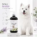 Shampoo Pelaje Blanco.webp